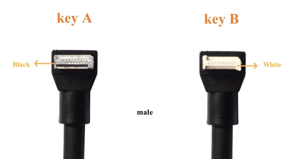 Type-E male Type-E male